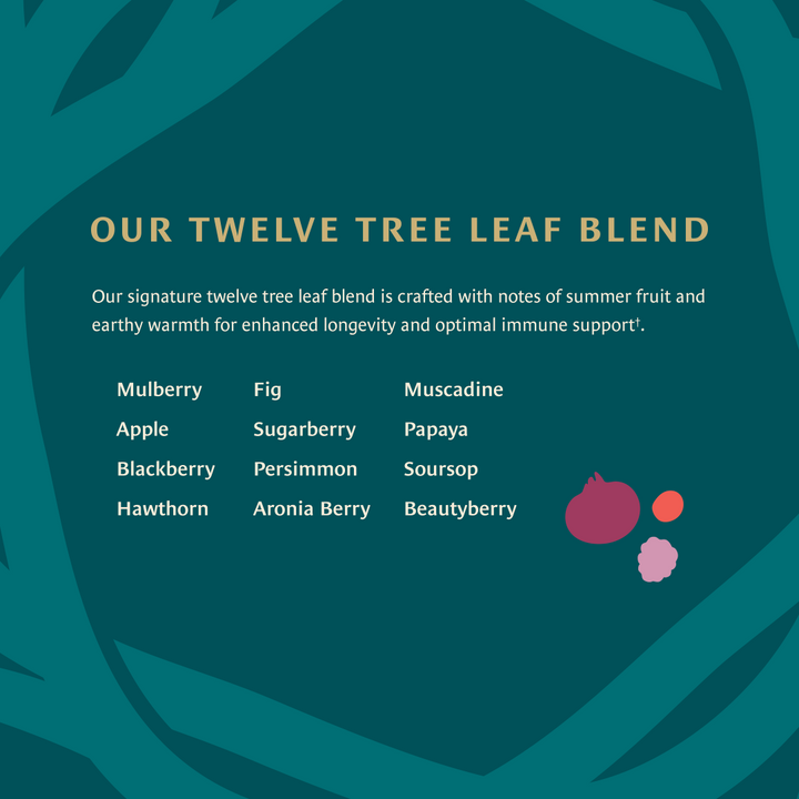 Healing Leaves: Longevity Blend Tea Bags