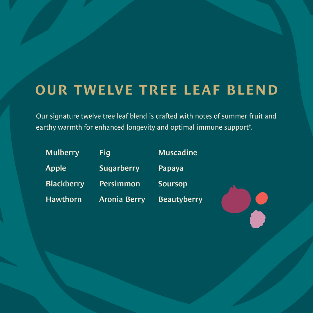 Healing Leaves Longevity Blend Loose Leaf Ingredients 