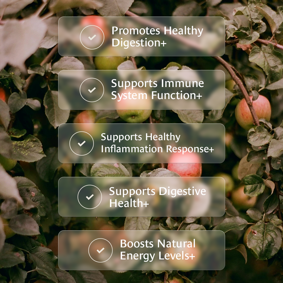 Healing Leaves Longevity Blend  Benefits