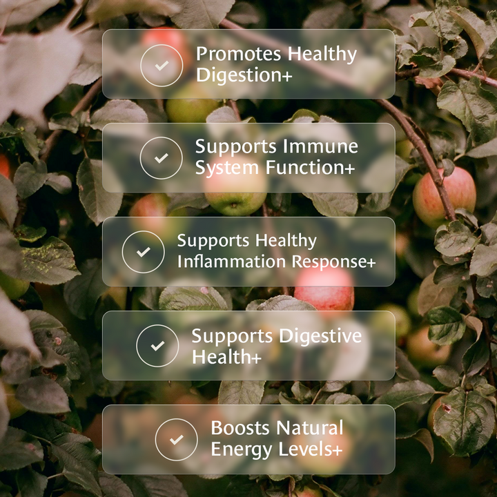 Healing Leaves Longevity Blend  Benefits