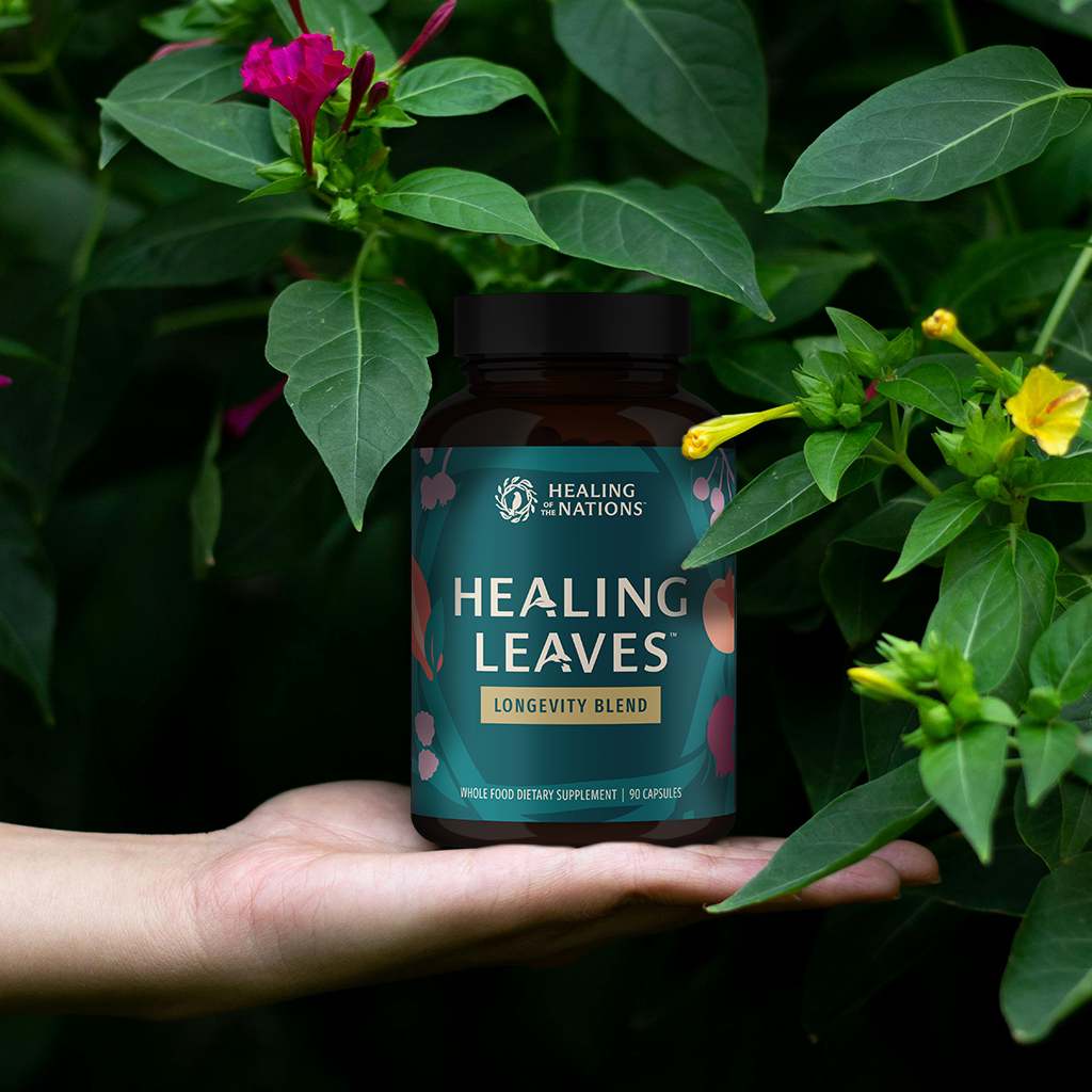 Healing Leaves Longevity Blend Capsules Lifestyle