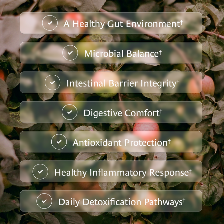 Gut Reset Offer