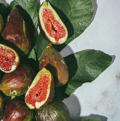 Fig leaves