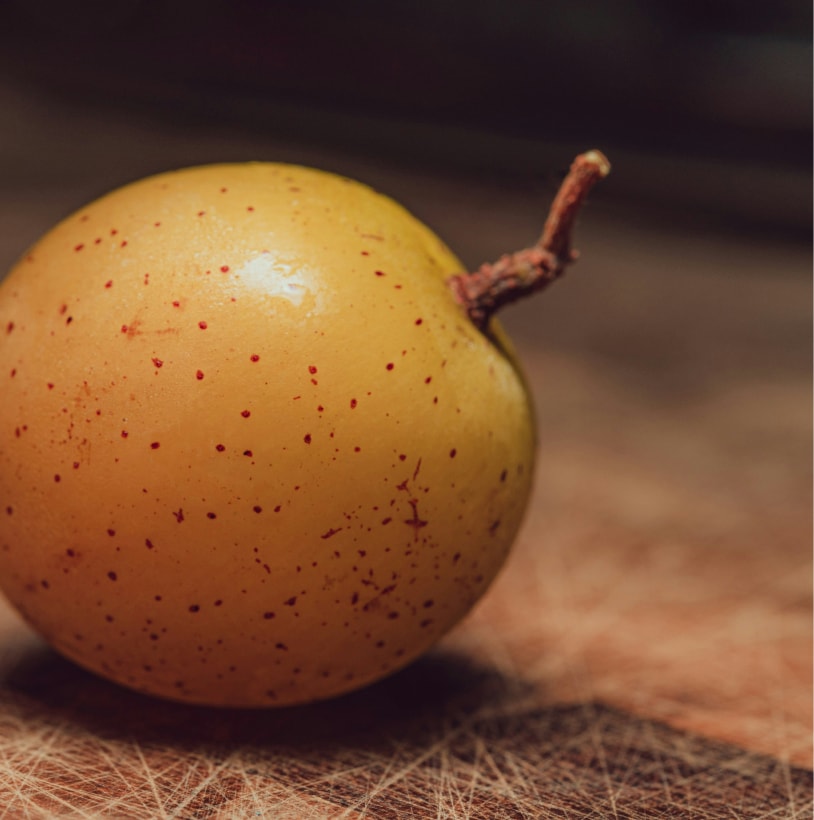 Muscadine Grape leaves 